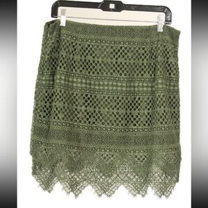 Banana Republic Skirt Women’s 10 Green A Line Lace Lined Striped